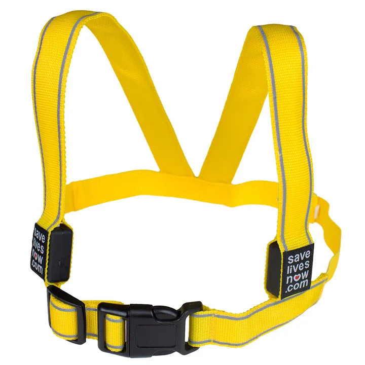 Flash LED Vest (Adult)