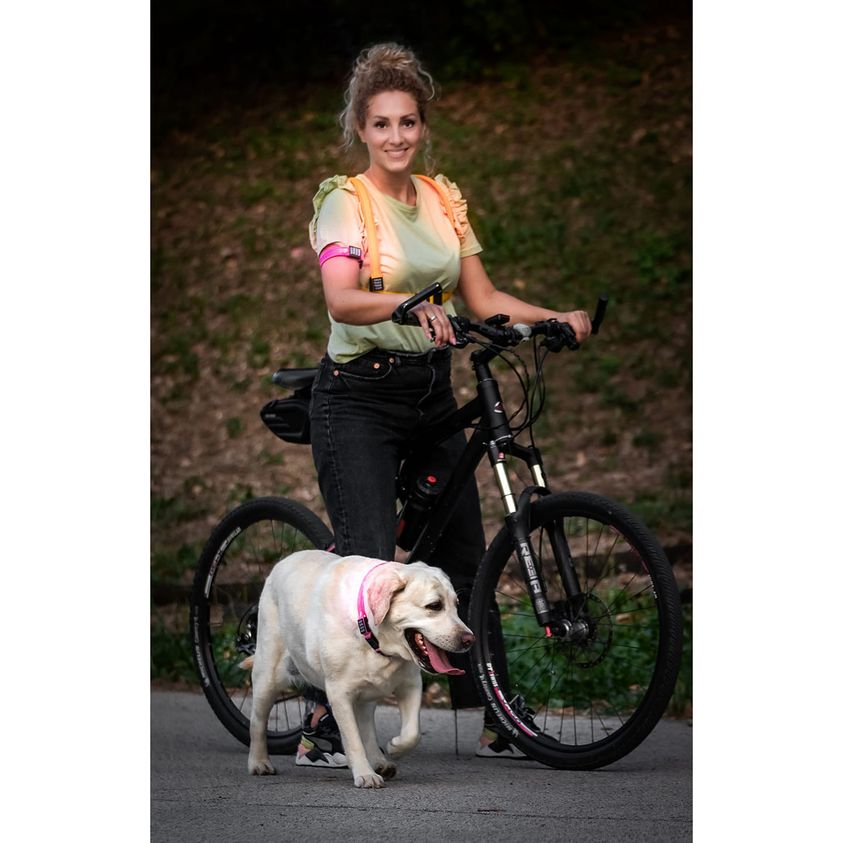 Flash LED Vest (Adult)